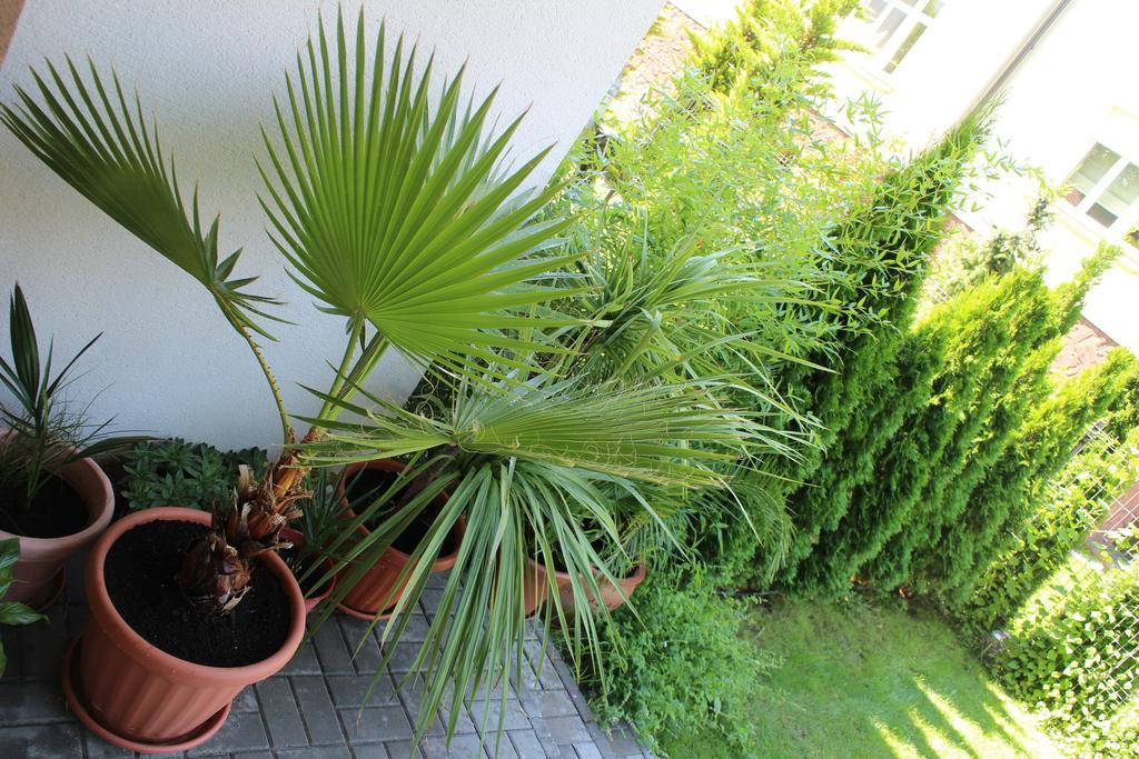שיופוק Bamboo Wellness Apartment מראה חיצוני תמונה