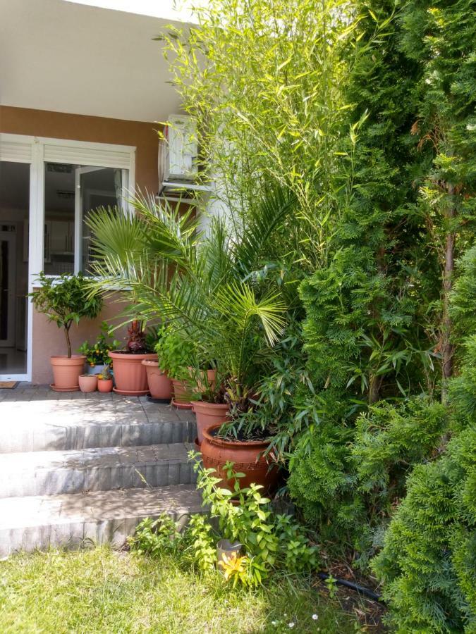 שיופוק Bamboo Wellness Apartment מראה חיצוני תמונה