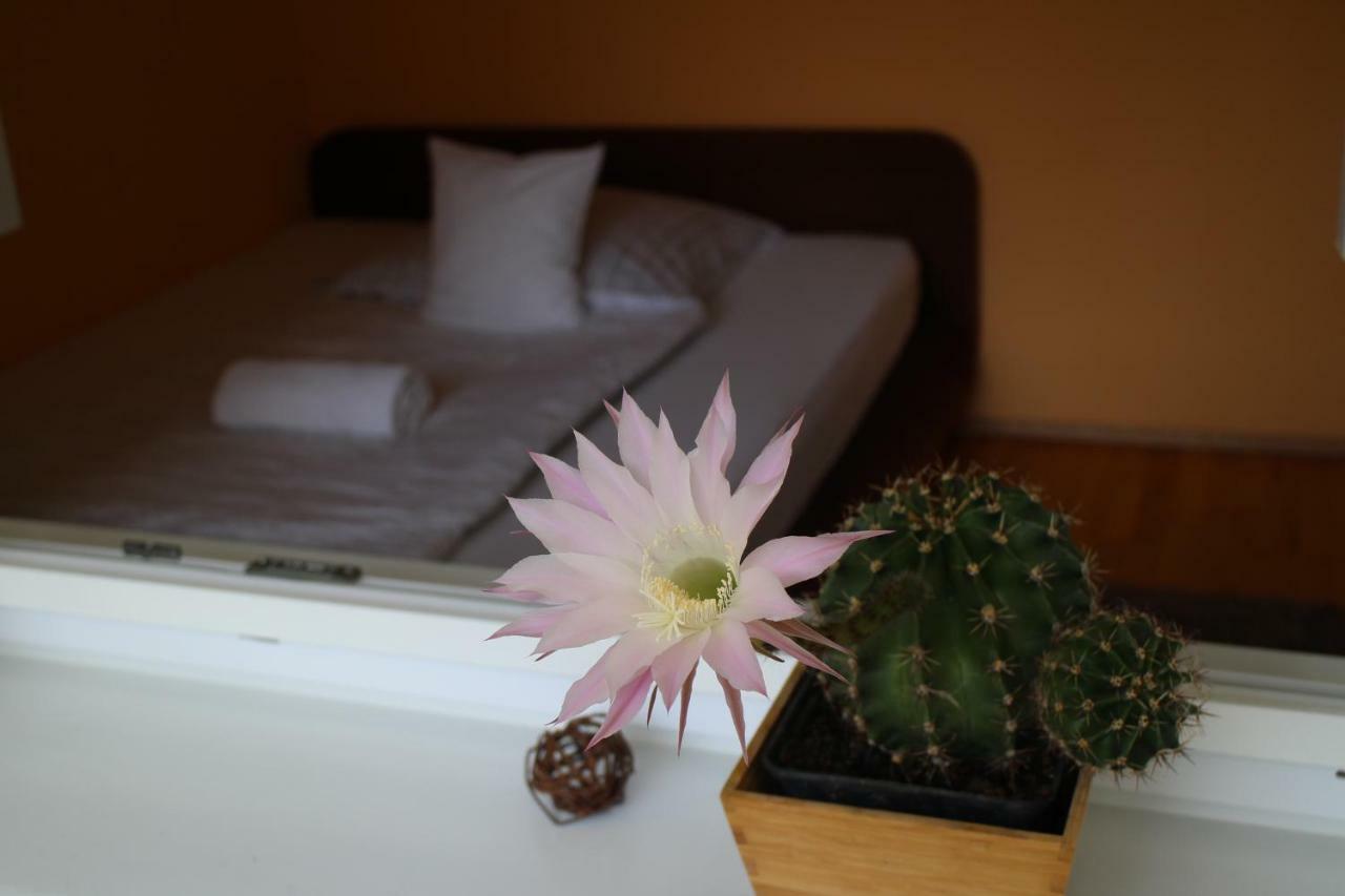 שיופוק Bamboo Wellness Apartment מראה חיצוני תמונה