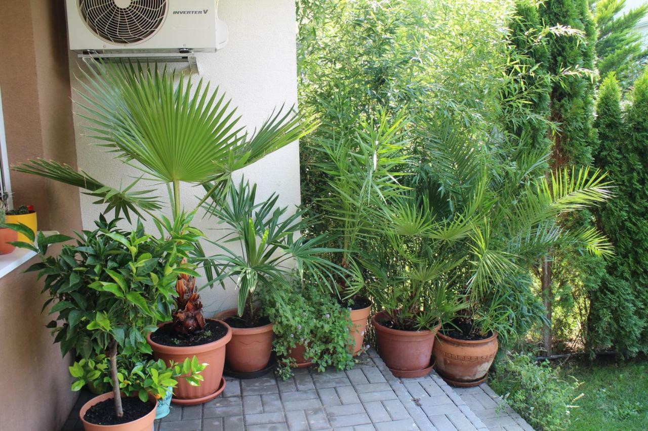 שיופוק Bamboo Wellness Apartment מראה חיצוני תמונה